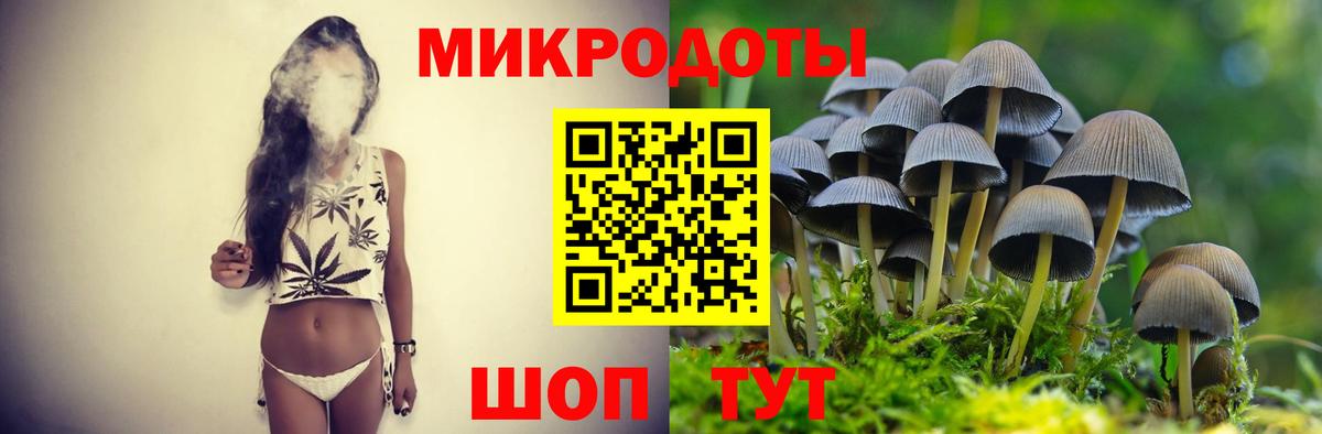 Галлюциногенные грибы Magic Shrooms Краснознаменск